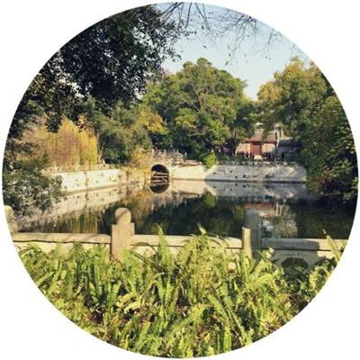 大话魔游记无限金币版下载